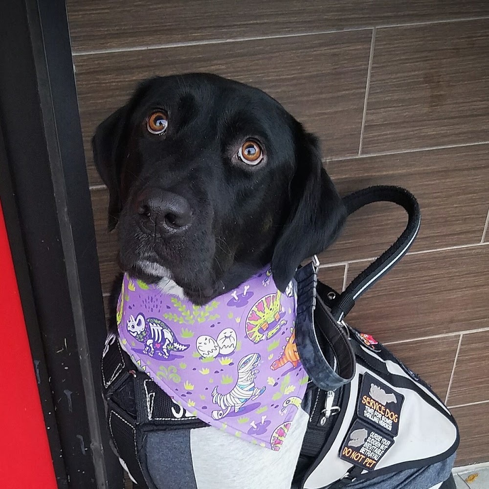 Meet your Posher, Pj